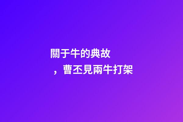 關于牛的典故，曹丕見兩牛打架